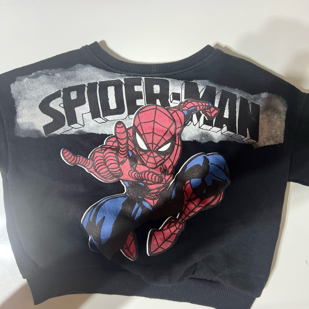 Spider-Man Graphic Sweatshirt